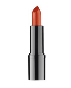 Ddp Rossetto Professionale 13
