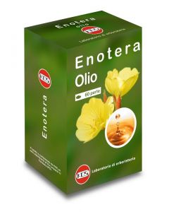 OLIO DI ENOTERA 60PRL 500MG